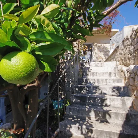 Villa Igrane 아파트 *