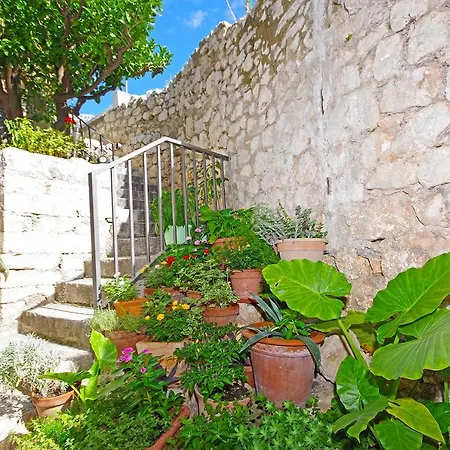 Villa Igrane アパート